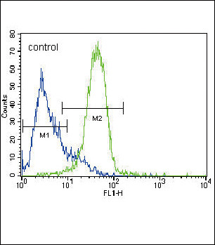 GATA4 Antibody in Flow Cytometry (Flow)