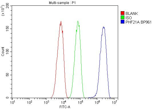 PHF21A Antibody in Flow Cytometry (Flow)