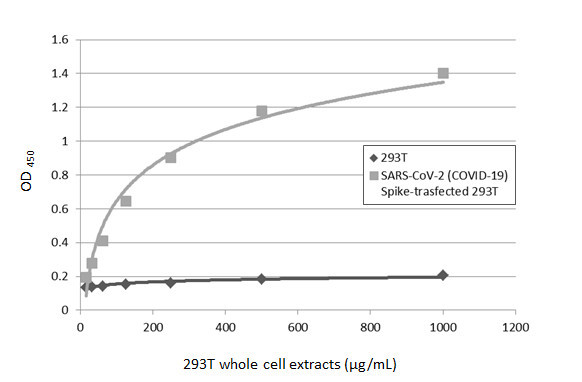 SARS-CoV-2 Spike Protein S1 Antibody in ELISA (ELISA)