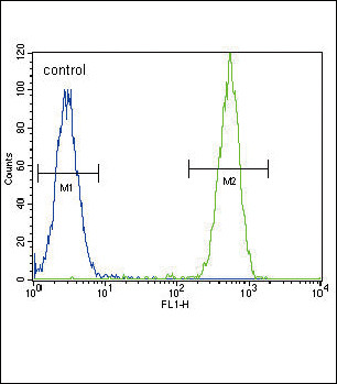 TERT Antibody in Flow Cytometry (Flow)