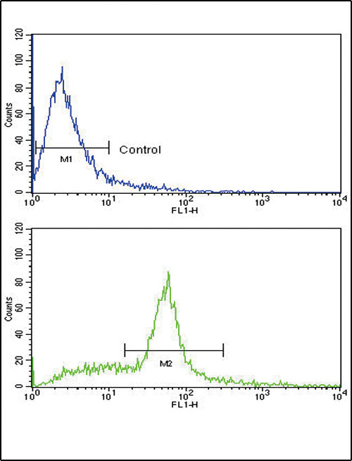 SCF Antibody in Flow Cytometry (Flow)