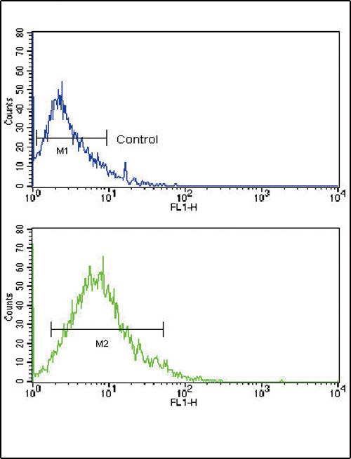 GLUT2 Antibody in Flow Cytometry (Flow)