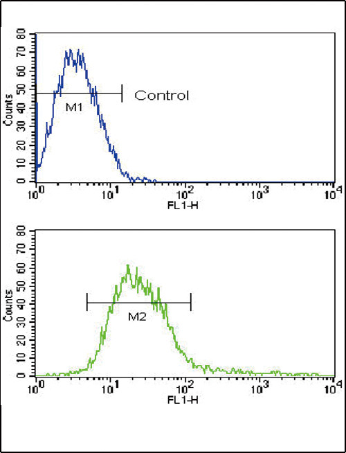 ADAM17 Antibody in Flow Cytometry (Flow)