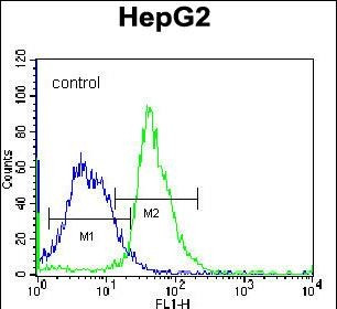 LC3B Antibody in Flow Cytometry (Flow)