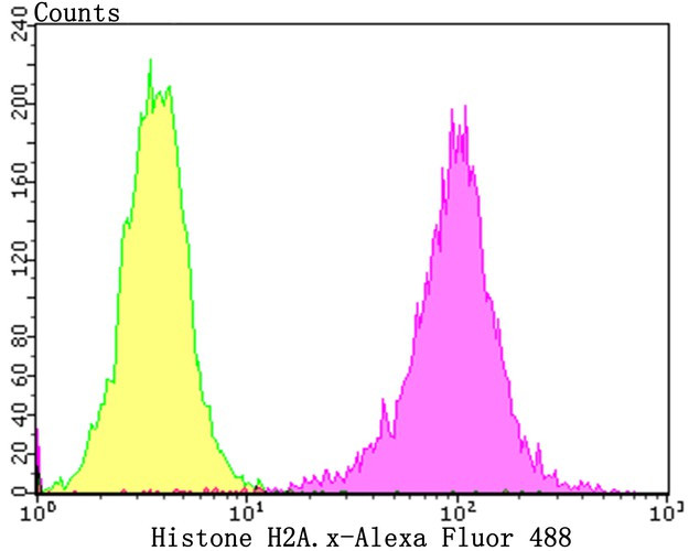 Histone H2A.X Antibody in Flow Cytometry (Flow)