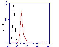 BCL6 Antibody in Flow Cytometry (Flow)