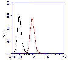 Cytokeratin 20 Antibody in Flow Cytometry (Flow)