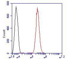 delta Catenin Antibody in Flow Cytometry (Flow)