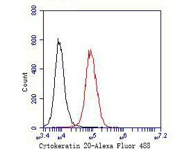 Cytokeratin 20 Antibody in Flow Cytometry (Flow)