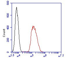 DPP6 Antibody in Flow Cytometry (Flow)