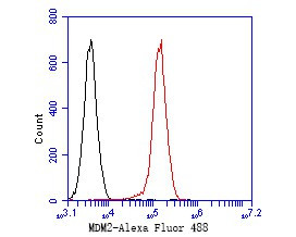 MDM2 Antibody in Flow Cytometry (Flow)