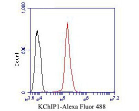 KCNIP1 Antibody in Flow Cytometry (Flow)