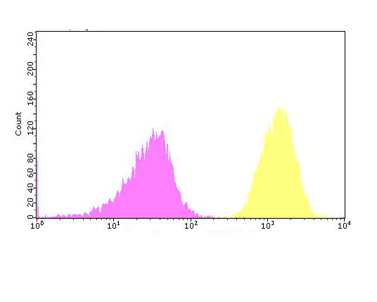 TGM2 Antibody in Flow Cytometry (Flow)