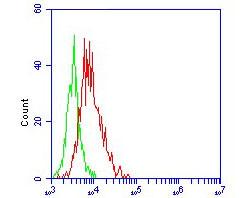 ACE2 Antibody in Flow Cytometry (Flow)