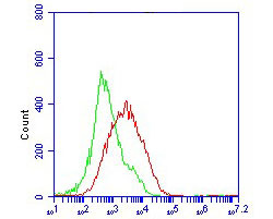 ACE2 Antibody in Flow Cytometry (Flow)