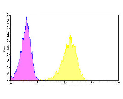 Drebrin Antibody in Flow Cytometry (Flow)