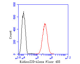 KIDINS220 Antibody in Flow Cytometry (Flow)