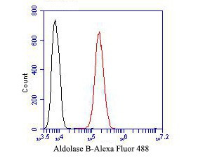 Aldolase B Antibody in Flow Cytometry (Flow)