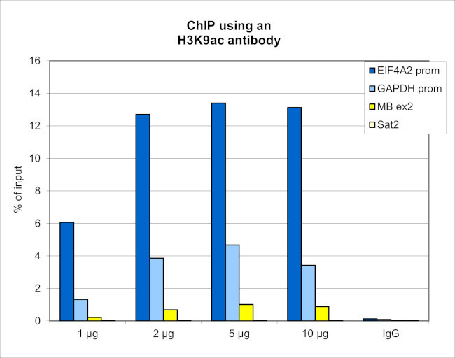 H3K9ac Antibody in ChIP Assay (ChIP)
