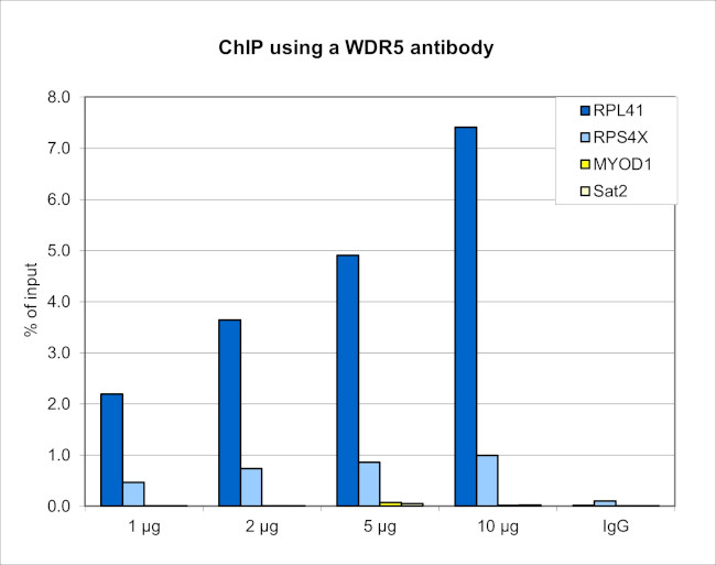 WDR5 Antibody in ChIP Assay (ChIP)