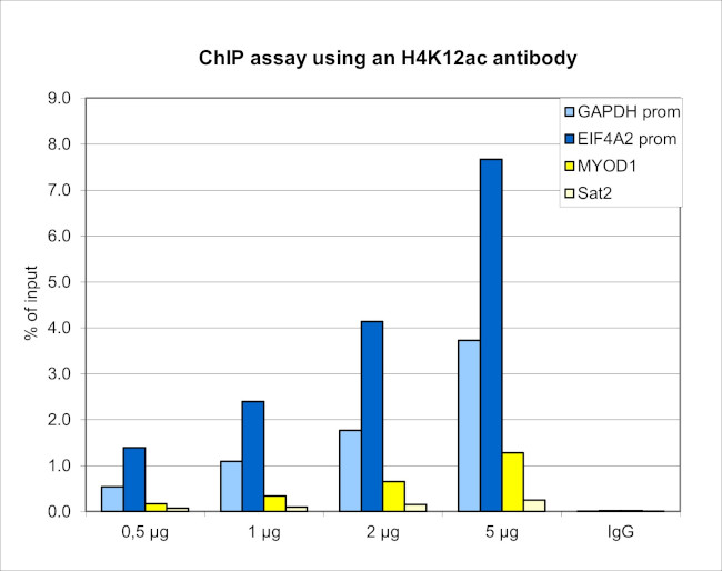 H4K12ac Antibody in ChIP Assay (ChIP)