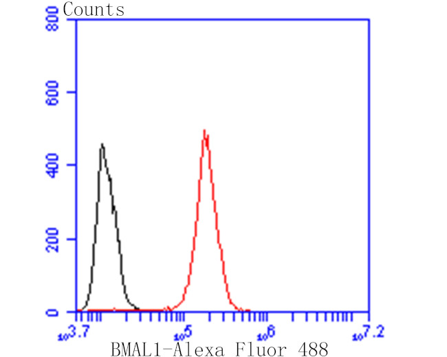 BMAL1 Antibody in Flow Cytometry (Flow)