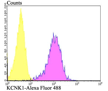 KCNK1 Antibody in Flow Cytometry (Flow)