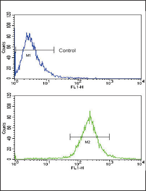 BMPR1A Antibody in Flow Cytometry (Flow)