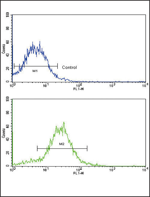 BMPR2 Antibody in Flow Cytometry (Flow)