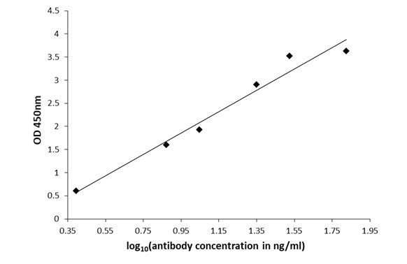 5-Hydroxytryptophan Antibody in ELISA (ELISA)