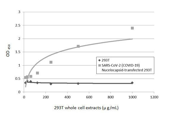 SARS/SARS-CoV-2 Nucleocapsid Antibody in ELISA (ELISA)