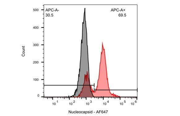 SARS/SARS-CoV-2 Nucleocapsid Antibody in Flow Cytometry (Flow)