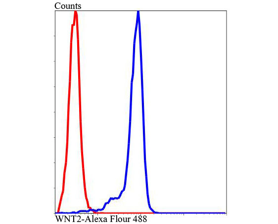 WNT2 Antibody in Flow Cytometry (Flow)