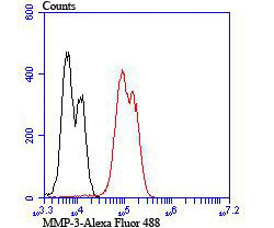 MMP3 Antibody in Flow Cytometry (Flow)