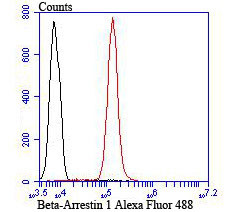 beta Arrestin 1 Antibody in Flow Cytometry (Flow)