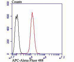Protein APC Antibody in Flow Cytometry (Flow)