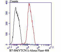 B7-H4 Antibody in Flow Cytometry (Flow)