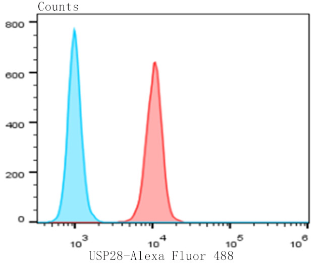 USP28 Antibody in Flow Cytometry (Flow)