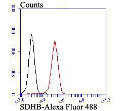 SDHB Antibody in Flow Cytometry (Flow)