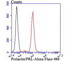 Prolactin Antibody in Flow Cytometry (Flow)