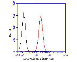 DOG-1 Antibody in Flow Cytometry (Flow)