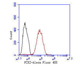 P2X2 Antibody in Flow Cytometry (Flow)