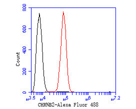 CHRNB2 Antibody in Flow Cytometry (Flow)