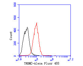 TREM2 Antibody in Flow Cytometry (Flow)