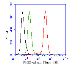 PICK1 Antibody in Flow Cytometry (Flow)