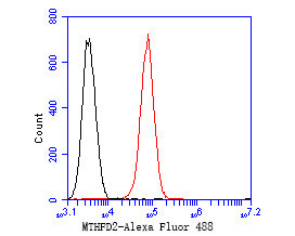 MTHFD2 Antibody in Flow Cytometry (Flow)