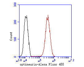 Optineurin Antibody in Flow Cytometry (Flow)