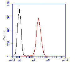 GOLGA7 Antibody in Flow Cytometry (Flow)