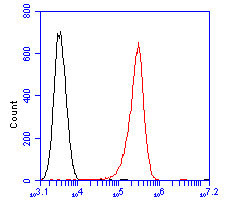 DTNBP1 Antibody in Flow Cytometry (Flow)