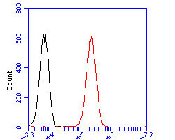 p16INK4a Antibody in Flow Cytometry (Flow)